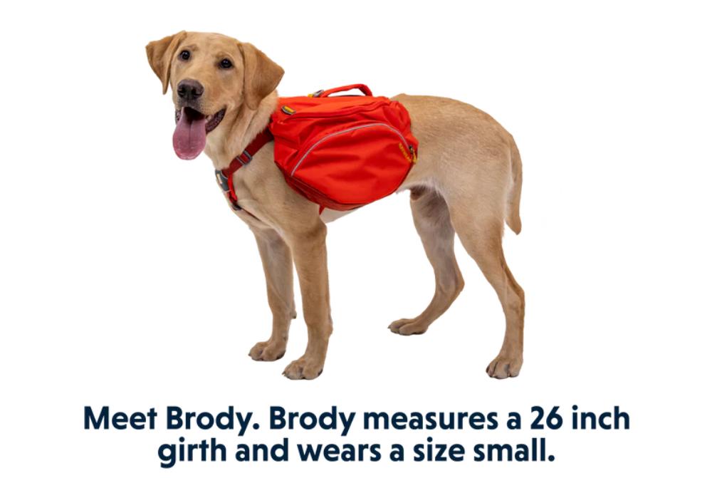 Ruffwear - Palisades Pack - Red Sumac