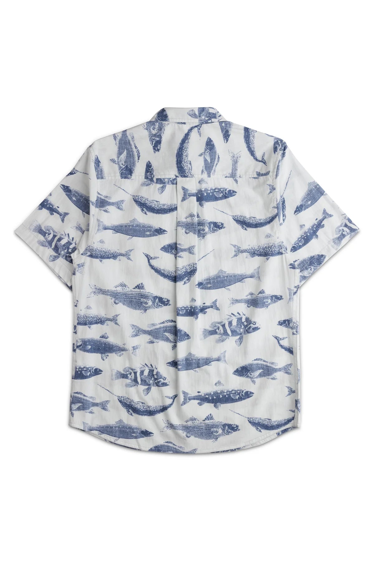 Kavu - Topspot - Big Blue Fish