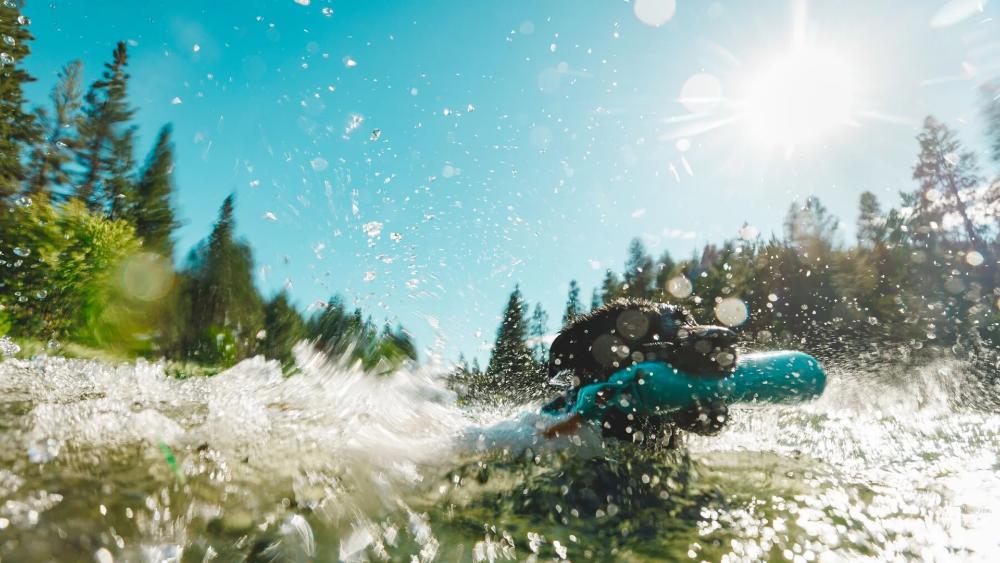 Ruffwear - Lunker Toy - Biolumin Blue