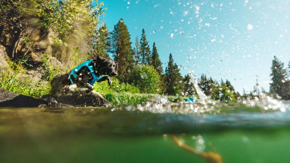 Ruffwear - Lunker Toy - Biolumin Blue