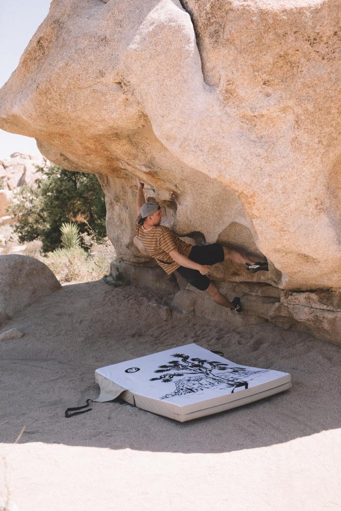 Evolv - Launch Pad - Joshua Tree