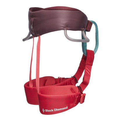 Black Diamond - Momentum Harness Kid's - Wild Rose