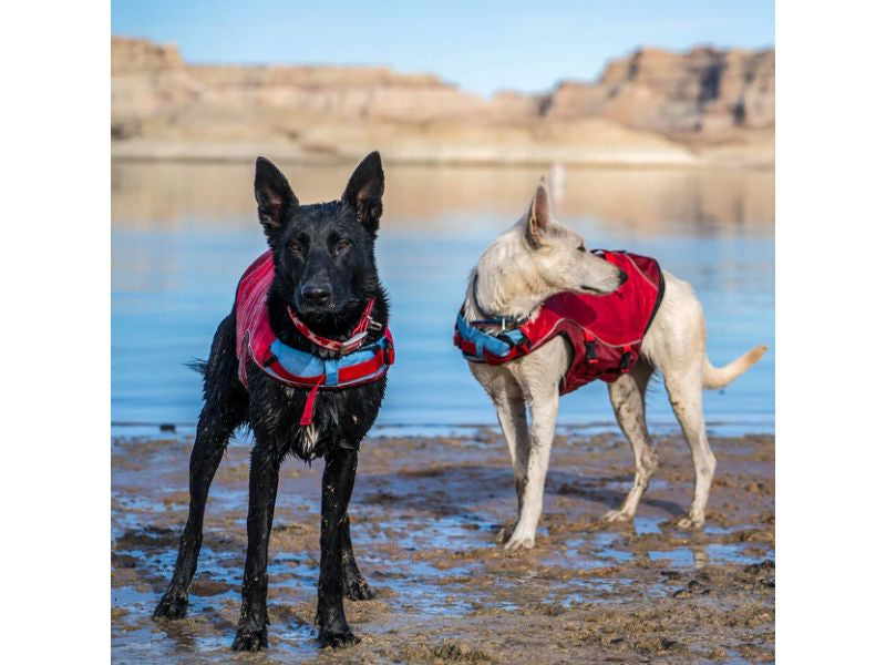 Kurgo - Surf n' Turf Lifejacket - Red