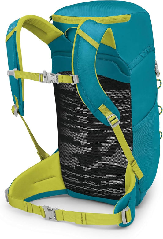 Osprey - Jet 18 - Blue Spikemoss