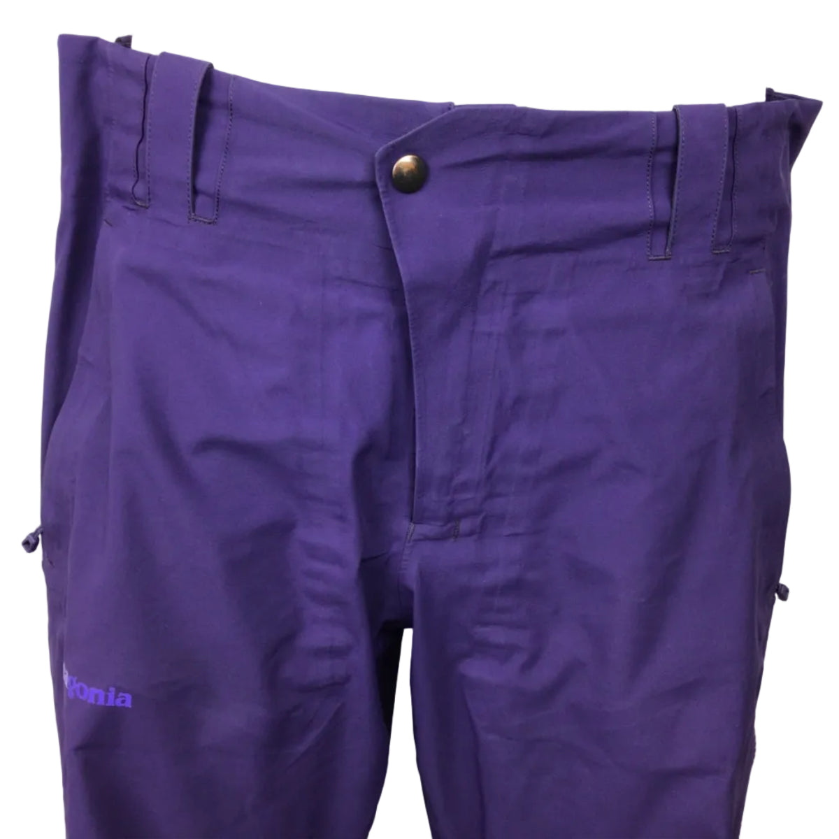 Patagonia Shell Ski Pants W
