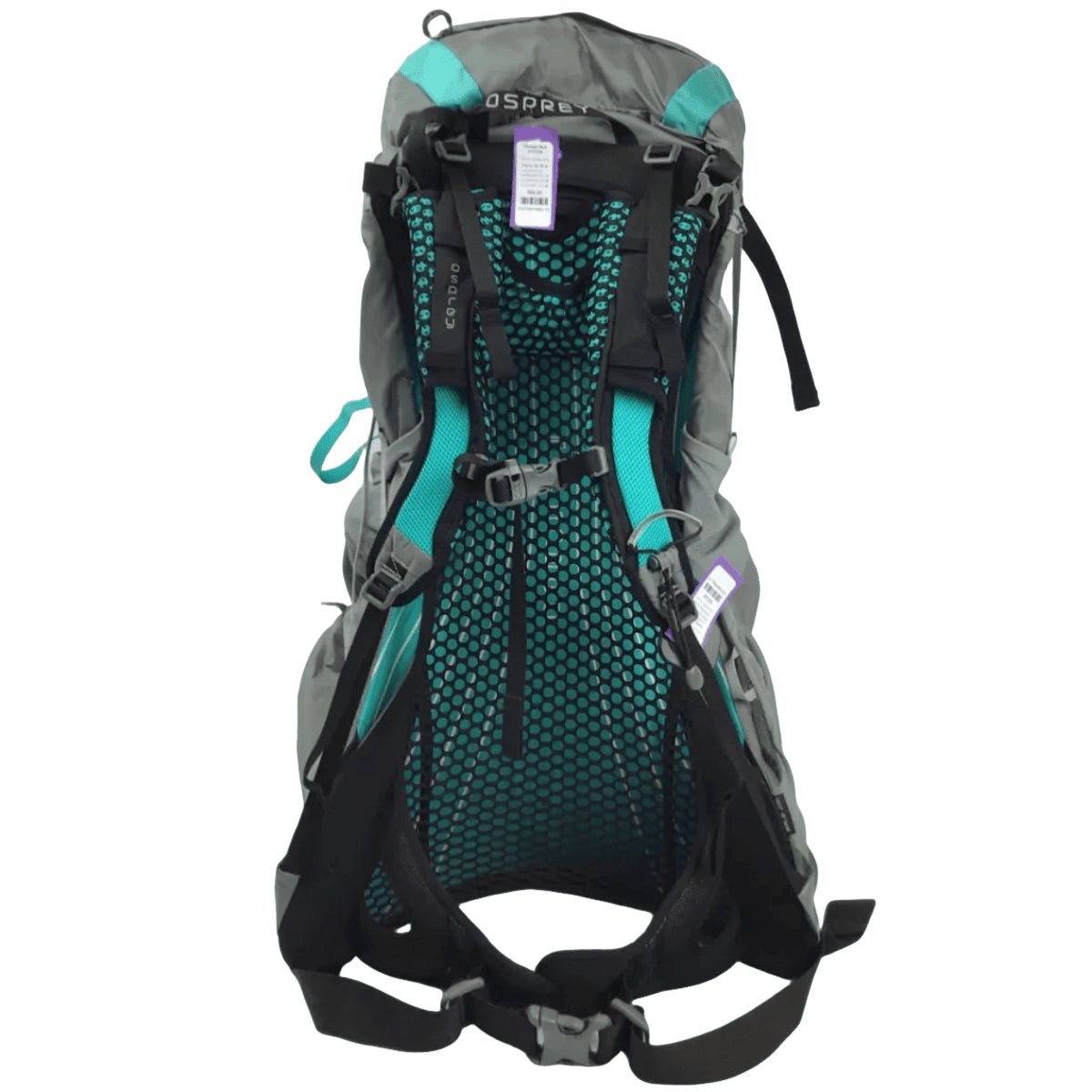 Osprey Eja 38 W