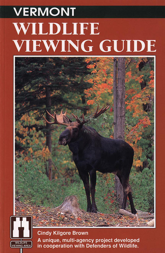 Wildlife Viewing Vermont