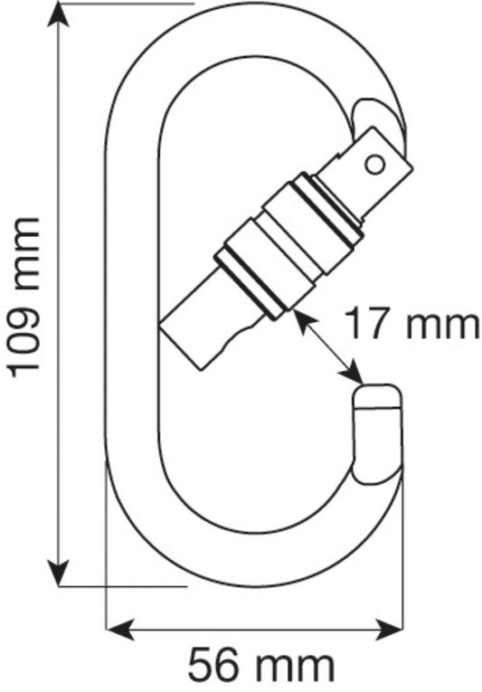 Camp - Steel Oval Pro Lock