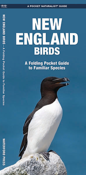 Waterford Press - New England Birds