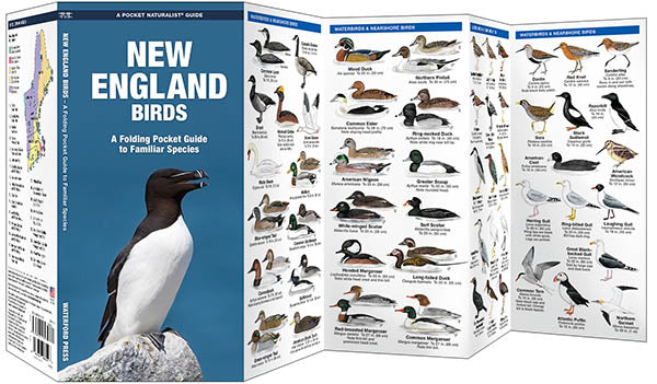 Waterford Press - New England Birds