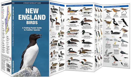 Waterford Press - New England Birds