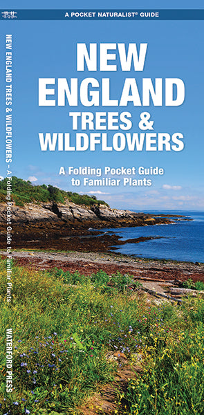 Waterford Press - New England Trees And Wildflowers