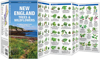 Waterford Press - New England Trees And Wildflowers