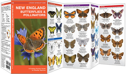 Waterford Press - New England Butterflies Pollinators