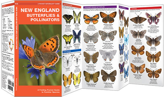 Waterford Press - New England Butterflies Pollinators