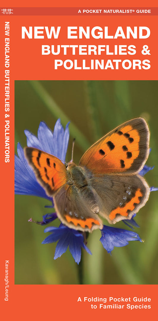 Waterford Press - New England Butterflies Pollinators