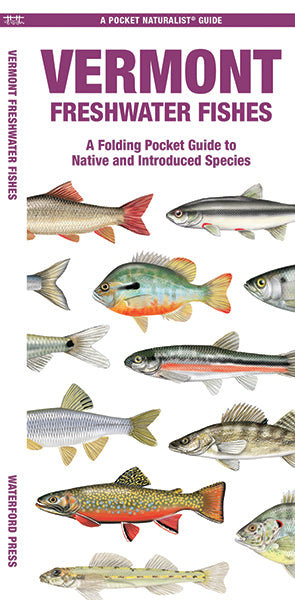 Waterford Press - Vermont Freshwater Fishes