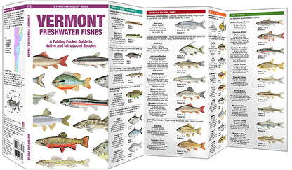 Waterford Press - Vermont Freshwater Fishes