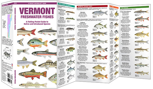 Waterford Press - Vermont Freshwater Fishes