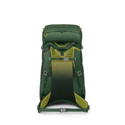 Osprey - Ace 38 - Green Canopy