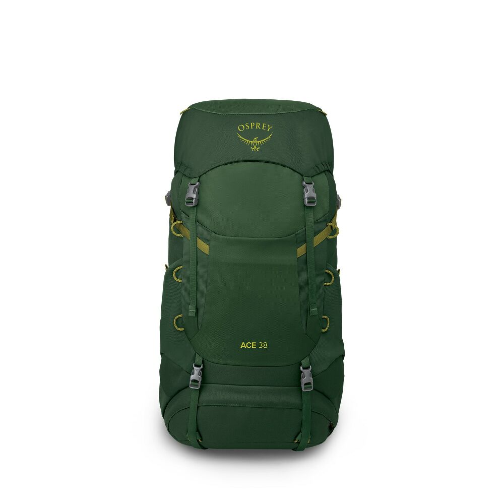 Osprey - Ace 38 - Green Canopy