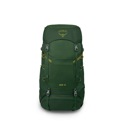 Osprey - Ace 38 - Green Canopy