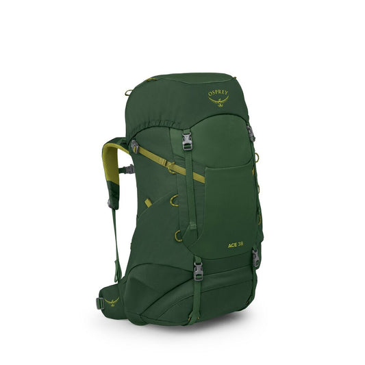 Osprey - Ace 38 - Green Canopy