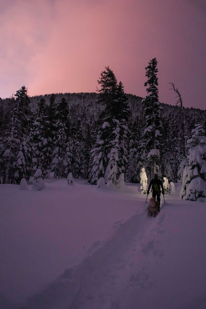 Beacon Rechargeable 500 Lumen Headlamp