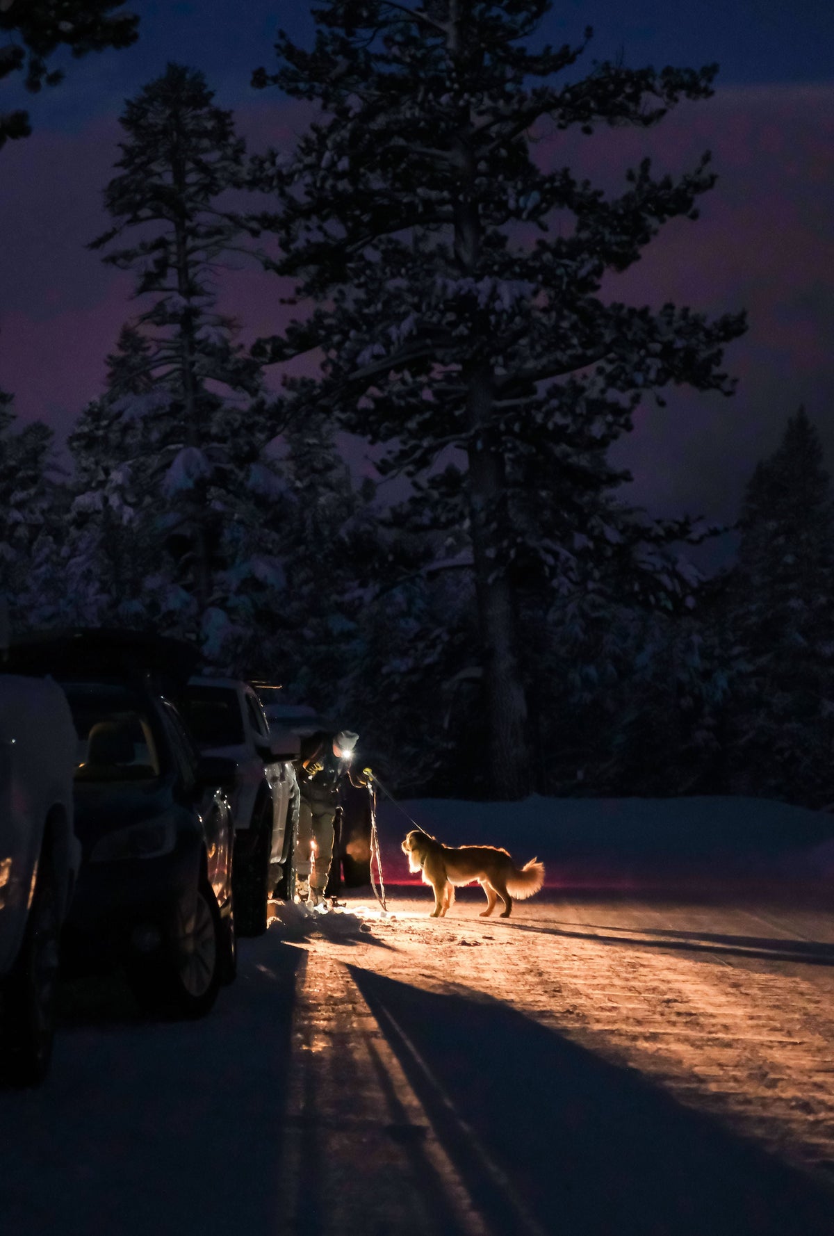 Beacon Rechargeable 500 Lumen Headlamp