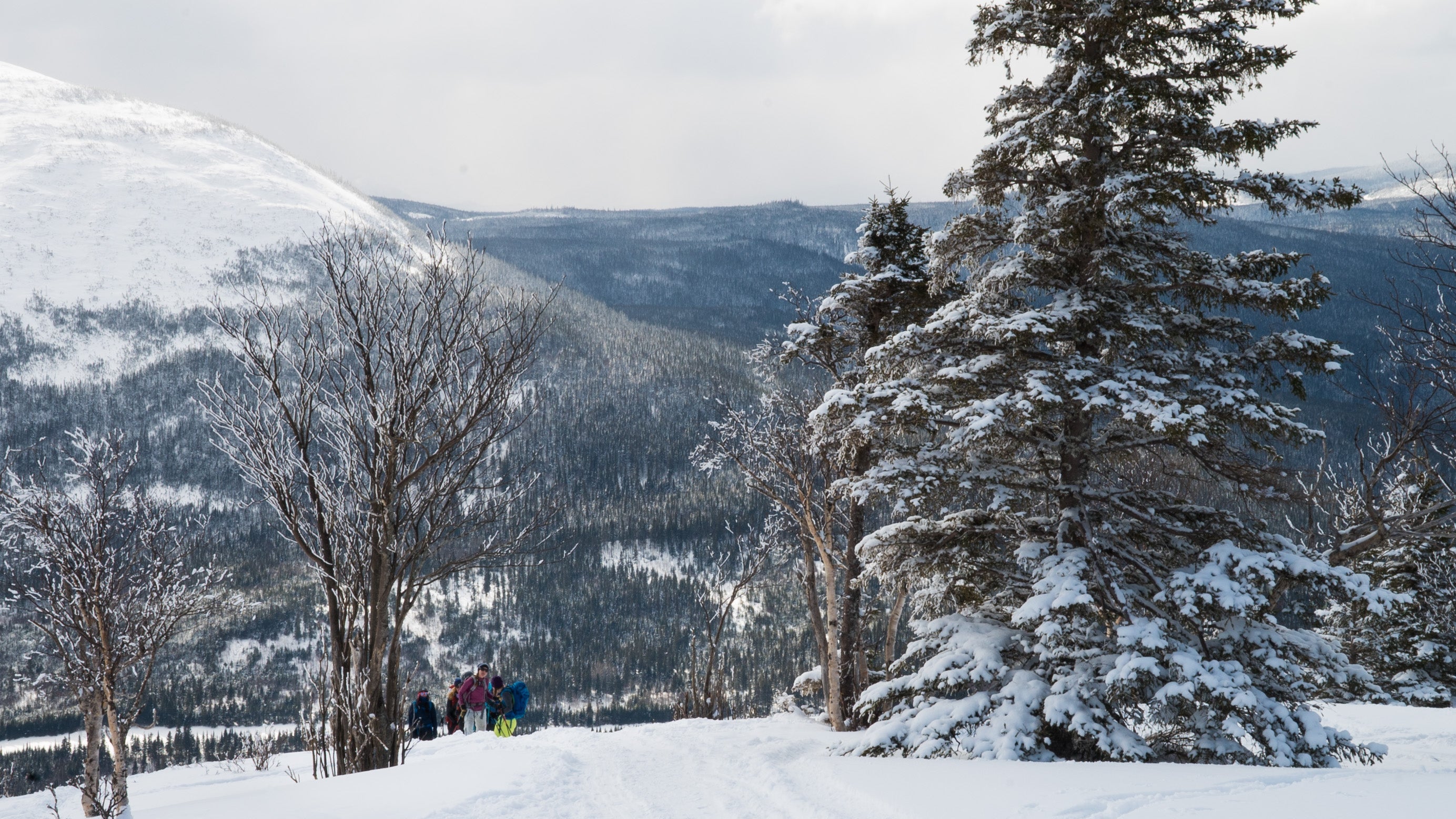 People skiing on a snow-covered mountain with trees and mountains in the background
