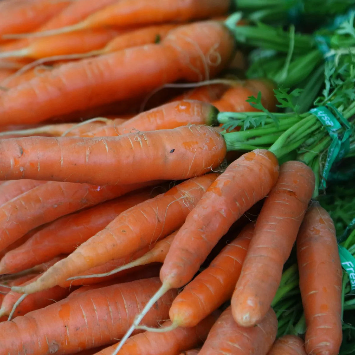 Farm to Summit - Thai Carrot Slaw (Cold Soak)
