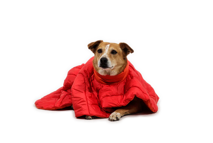 Ruffwear - Palisades Sleep Poncho - Red Currant
