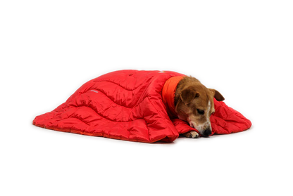 Ruffwear - Palisades Sleep Poncho - Red Currant