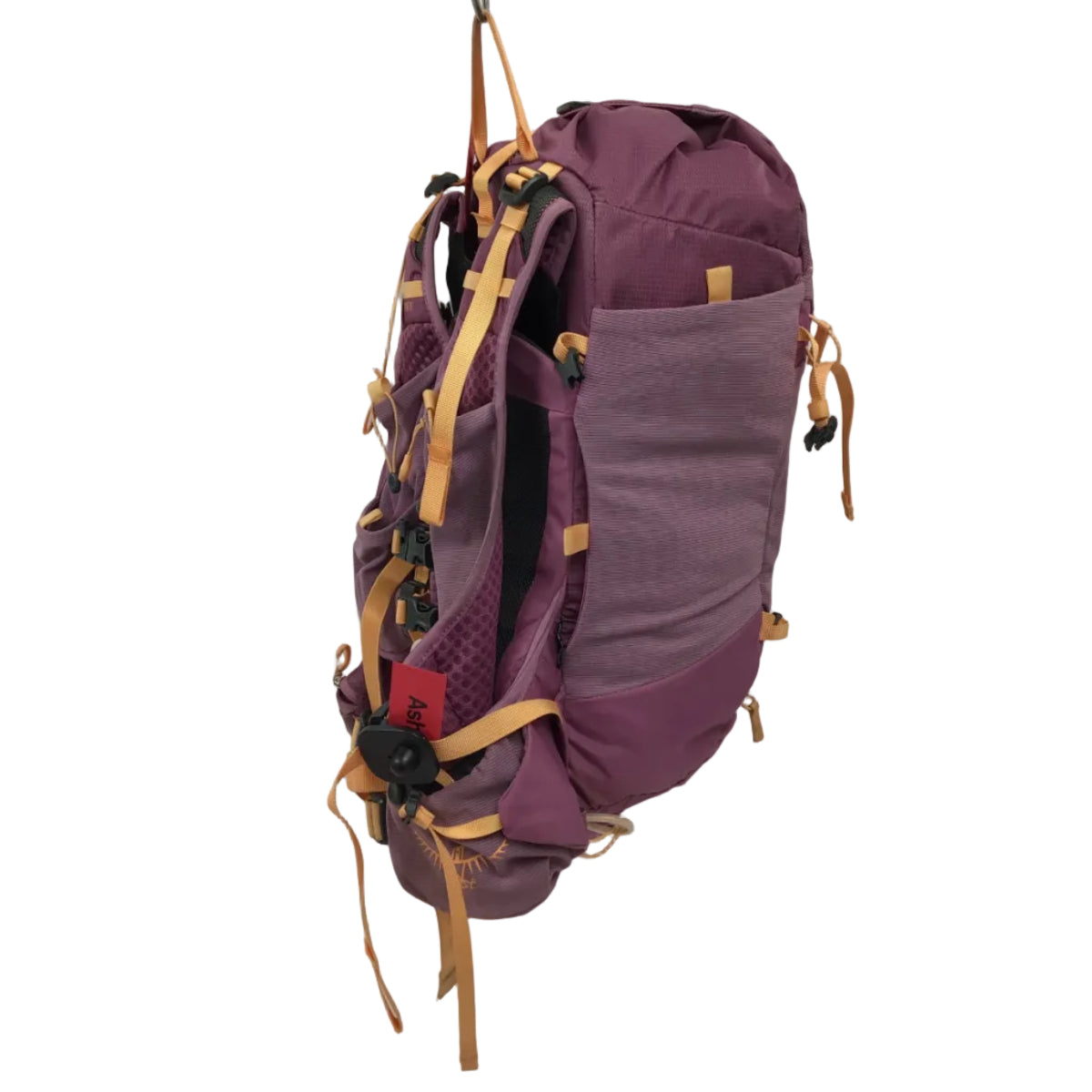 Osprey Tempest Velocity 20L Grape