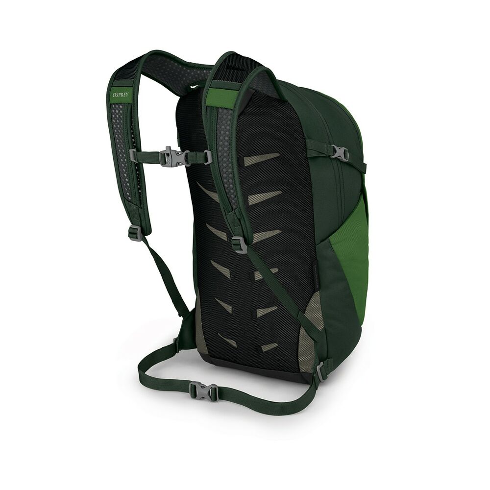 Osprey - Daylite Plus - Green Belt Green Canopy