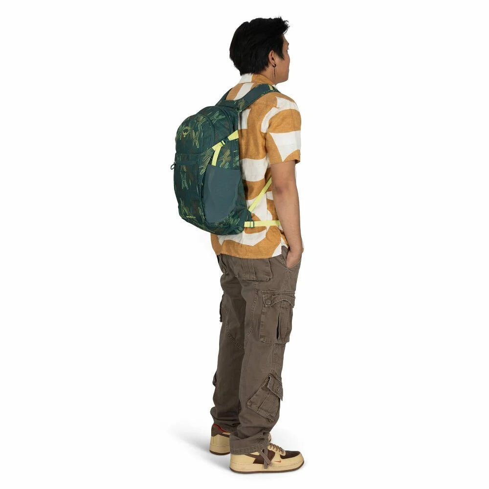 Osprey - Daylite Plus - Fuzzy Window Print Torrent Blue