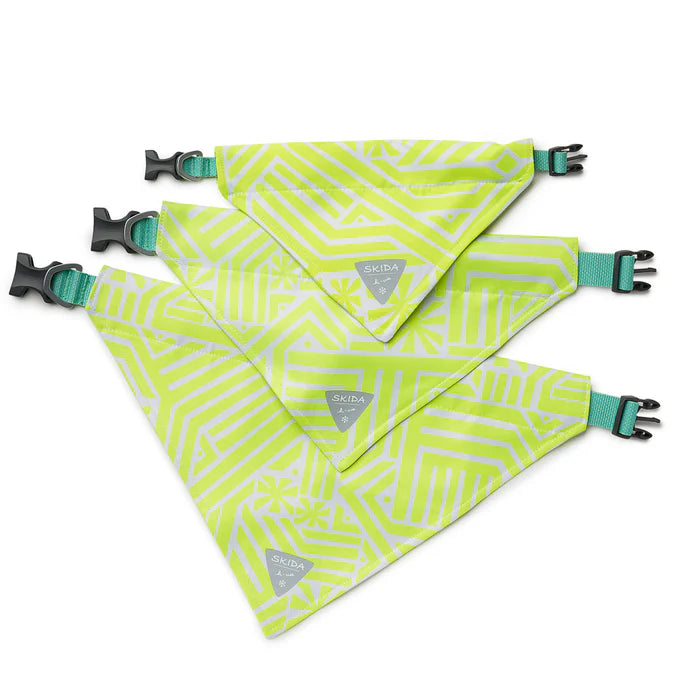 Skida - Dog Bandana - Neonwaves
