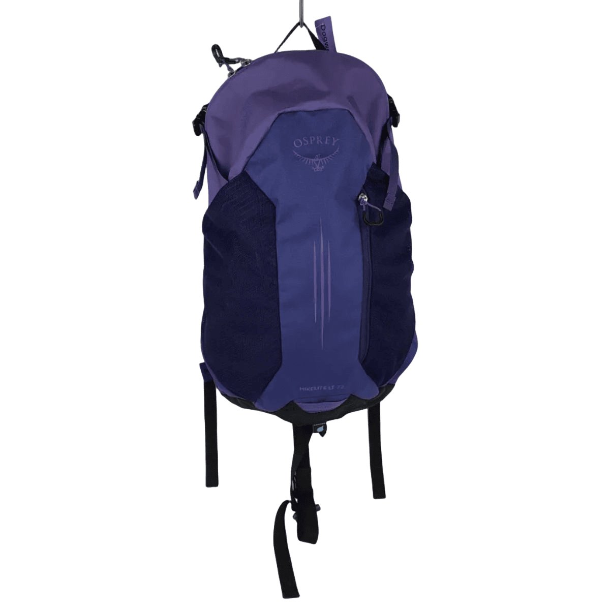 Osprey Hikelite 22