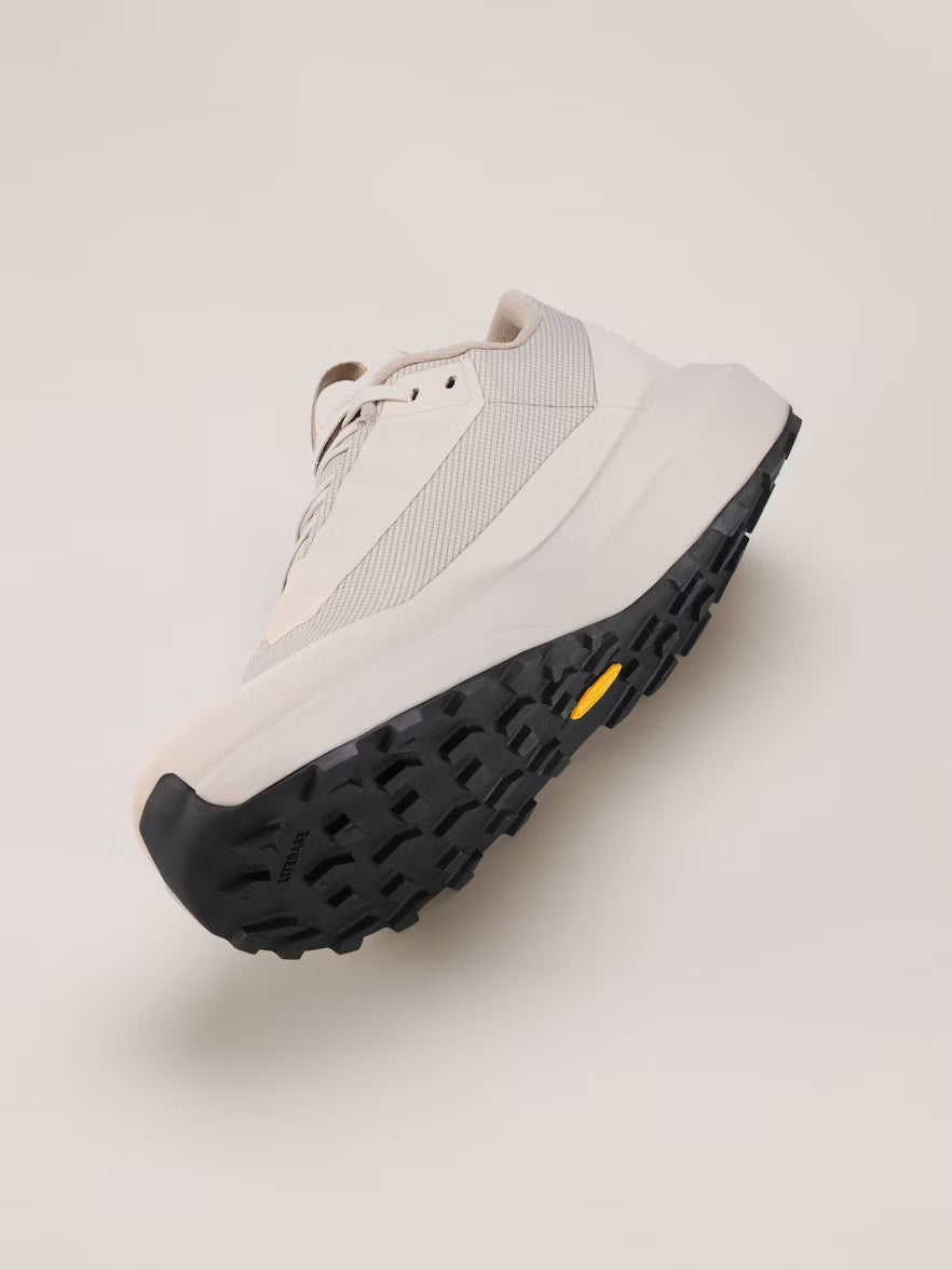Arc'teryx - Norvan LD 4 GTX Mens - Rune/Rune