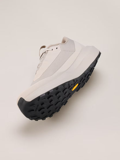 Arc'teryx - Norvan LD 4 GTX Mens - Rune/Rune