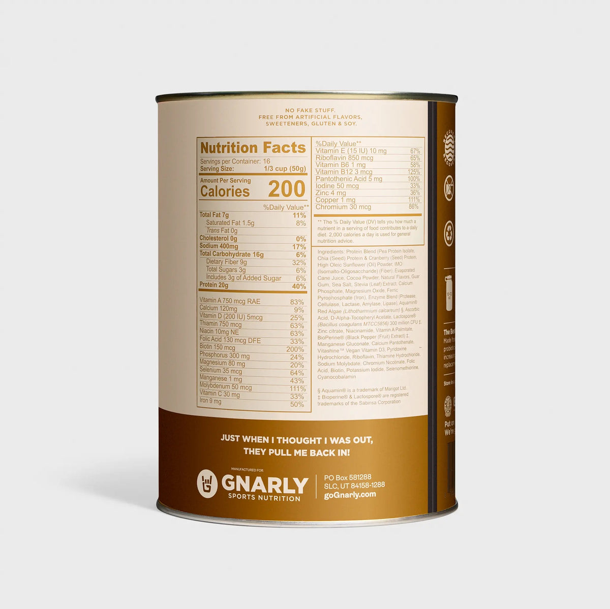 Gnarly Nutrition - Gnarly Vegan - Chocolate