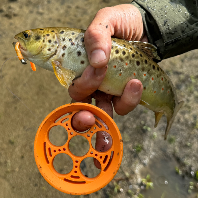 Hand holding a small fish caught on an orange fishing reel in a natural setting.