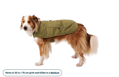 Ruffwear - Overcoat Fuse Insulated Vest - Cedar Green