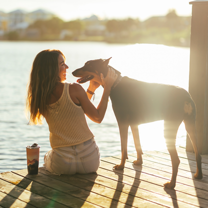 26oz (2.0) Ombre Insulated Stackable Tumbler