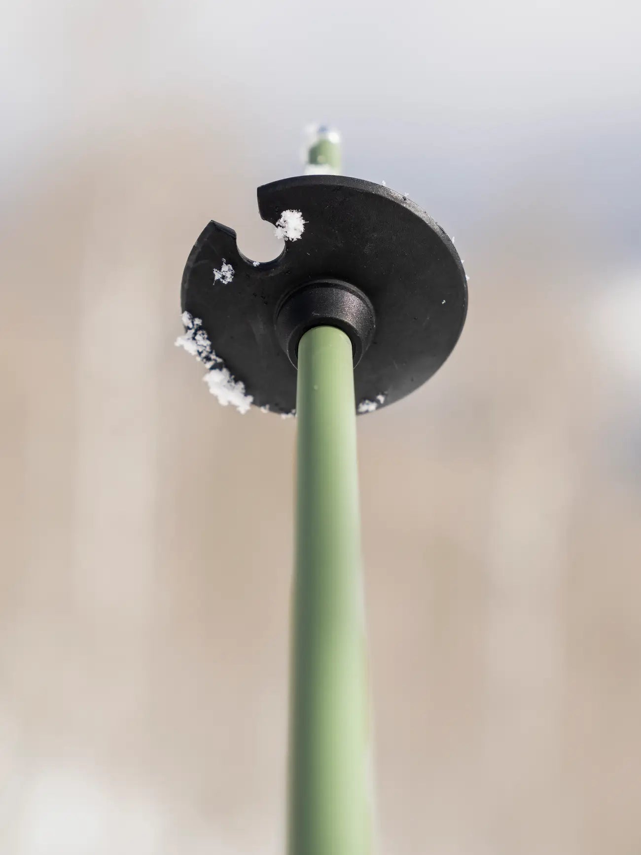 Armada - Triad Alpine Pole - Olive