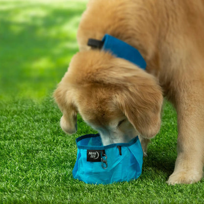 Nite Ize - Rad Dog Collapsible Bowl - Blue