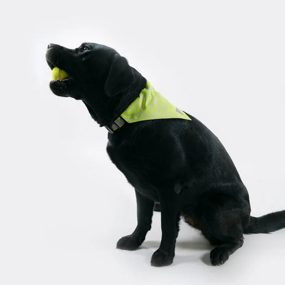 Skida - Dog Bandana - Neonwaves