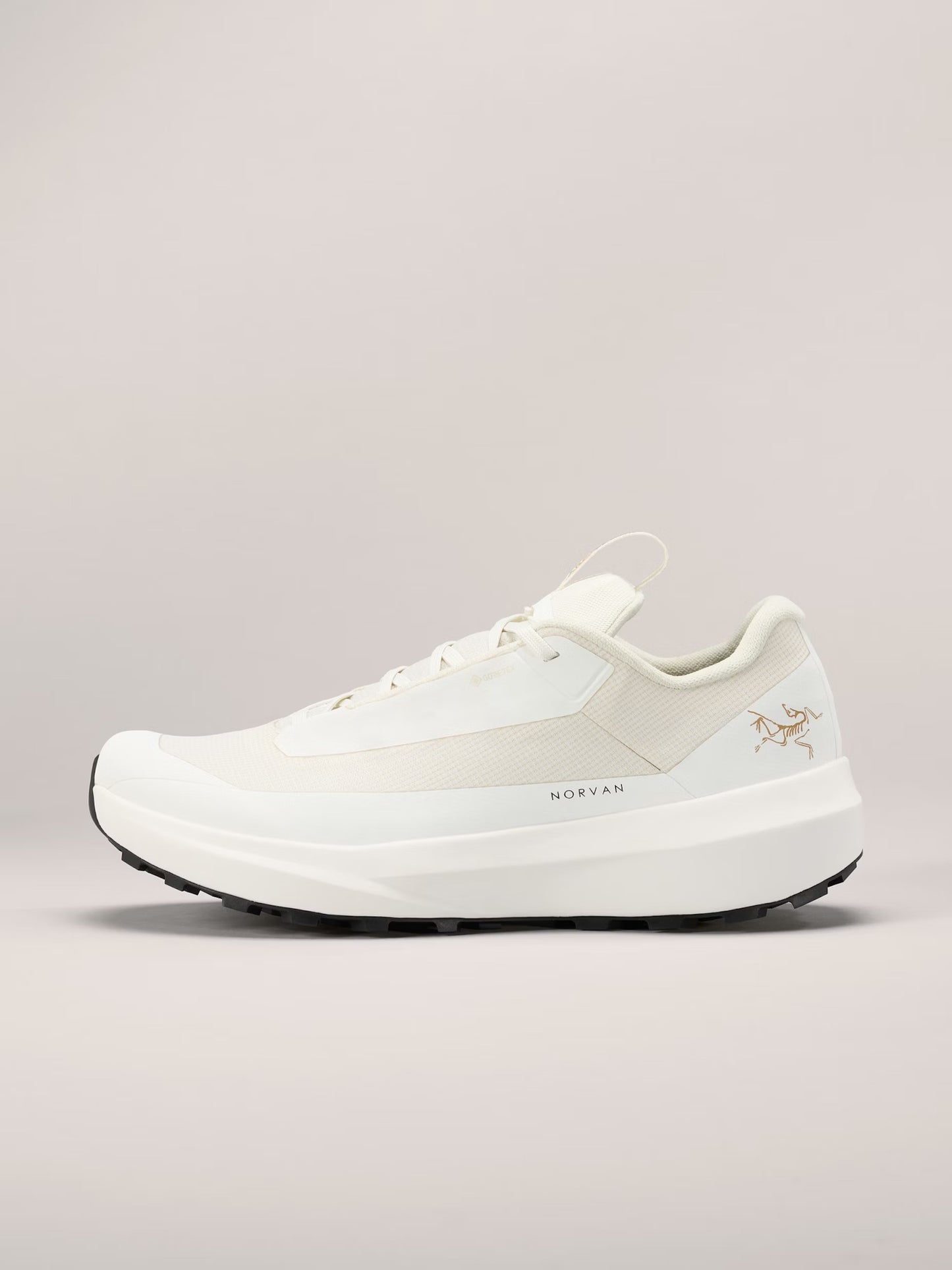 Arc'teryx - Norvan LD 4 GTX - Women's