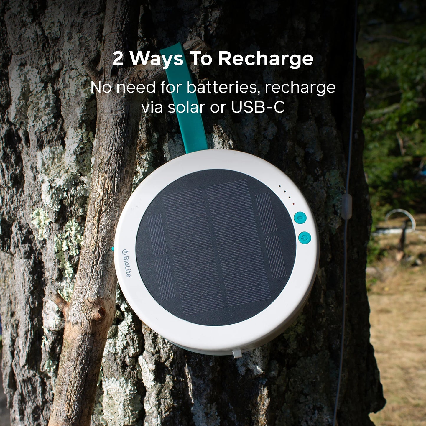 Biolite - Solar String Lights 44ft - Color