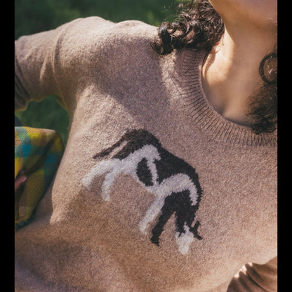 Toad and Co - Women's Wasatch Crew Sweater - Cattail Jacquard Pattern